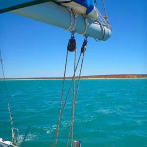 Monkey Mia Catamaran Print