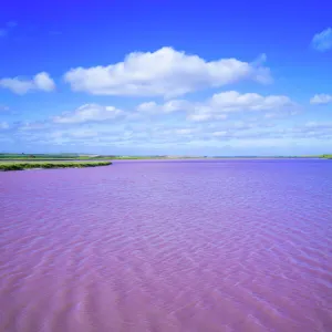 Saline pink lake of Coorong, South Australia