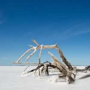 Salt lake, South Australia