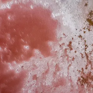 Salt Patterns in Lake MacDonnell - Aerial Salt Patterns in Lake MacDonnell - Aerial