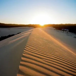 Sand Dune