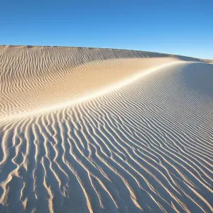 Sand Dunes