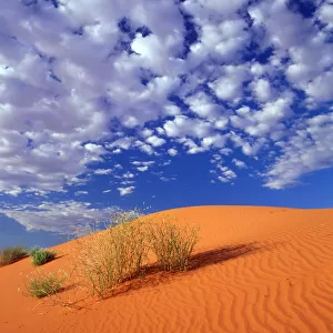 Sand Dunes Patterns, Simpson Desert, Northern Territory, Australia