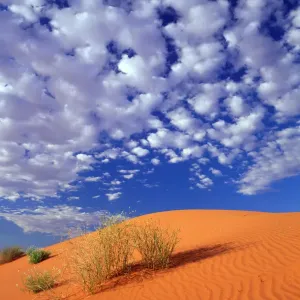 Sand Dunes Patterns, Simpson Desert, Northern Territory, Australia