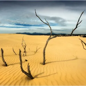Sand-dunes in Wilsons Promontory National Park, Victoria, Australia Sand-dunes in Wilsons Promontory National Park, Victoria, Australia