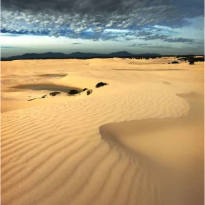 Sand-dunes in Wilsons Promontory National Park, Victoria, Australia