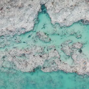 Sand eroding in an estuary shot from directly above Sand eroding in an estuary shot from directly above