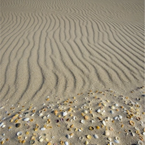 Sand patterns on the beach, King Island Bass Strait, Tasmania, Australia