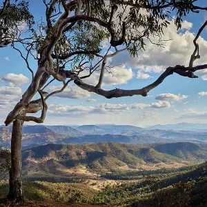 Scenic Rim in Lamington National Park Scenic Rim in Lamington National Park