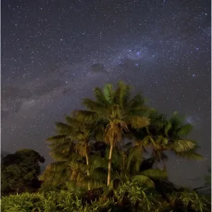 Scenically beautiful and a world heritage designated location, Lord Howe Island lies between the South Pacific ocean and the Tasman sea off the coast of New South Wales, Australia