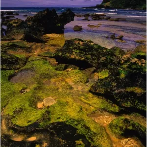 Lord Howe Island