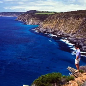 Scott Cove
