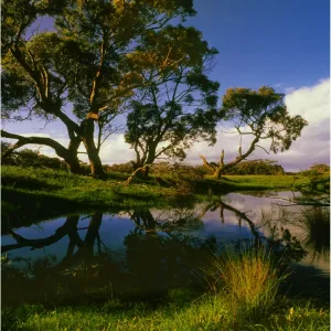 Screw Creek, Inverloch, Victoria, Australia