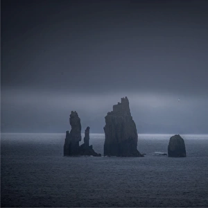 Sea cliffs, Shetland Islands, Scotland