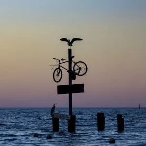 A seagull spreads its wings on a bicycle at the seaside A seagull spreads its wings on a bicycle at the seaside