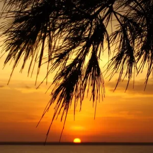 The Setting Sun