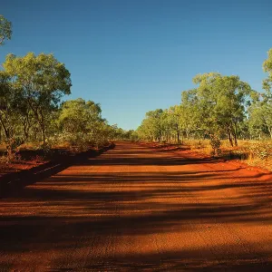 Shadows from trees crossing the Gibb River Road, Western Australia, Australia