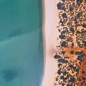 Shark Bay coastline shot from a drone point of view, Australia