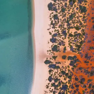 Shark Bay Coastline Print - Australian Aerial Drone View