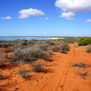 Shark Bay Outback Print