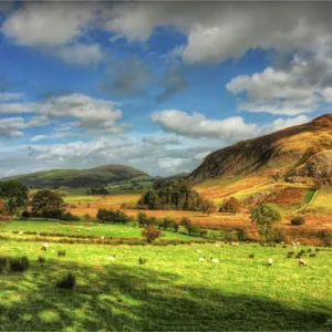 Images Dated 2011 September: 23 Sep 2011