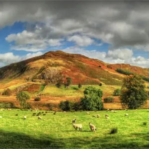 Images Dated 2011 September: 23 Sep 2011