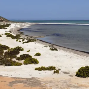 Shell Beach, Shark Bay World Heritage Area, Western Australia, Australia