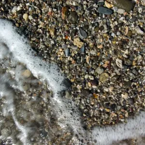 Foam Foam