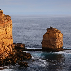 Sheringa cliffs. Eyre peninsula. South Australia