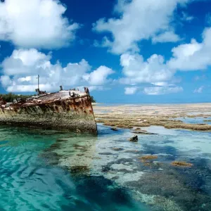 Images Dated 2007 December: 19 Dec 2007