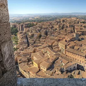 Siena From Torre del Mangia