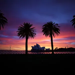 Silhouette of trees with Opera House Silhouette of trees with Opera House