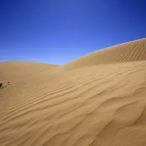 The Simpson desert