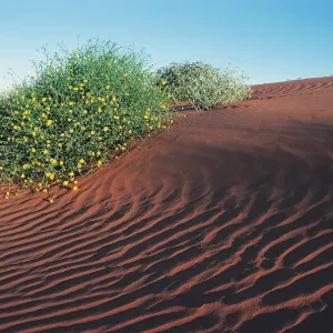 Simpson Desert, Australia