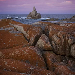 Sloop Rock at sunset, The Gardens, Tasmania, Australia