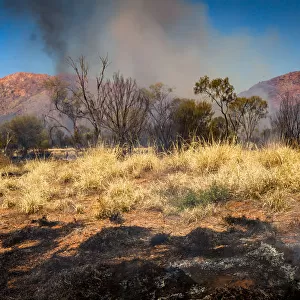 Smoke from grass fires in a rural landscape