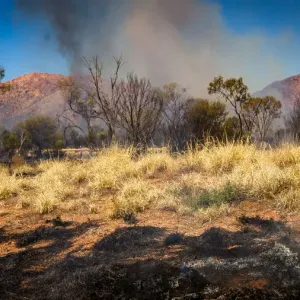 Smoke from grass fires in a rural landscape Smoke from grass fires in a rural landscape