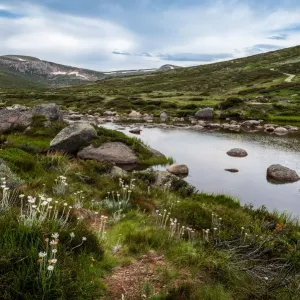 Snowy River Print, Kosciuszko National Park Summer Landscape