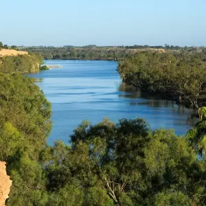 South Australia, Australian, Australia, river, Murray River, River Murray, water South Australia, Australian, Australia, river, Murray River, River Murray, water