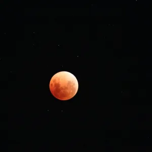 Spectacular Super Blue Blood Moon Over Perth