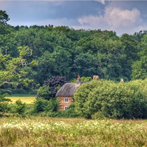 A spring rural scene in Hampshire, England