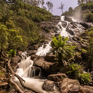St Columba Falls, Tasmania, Australia