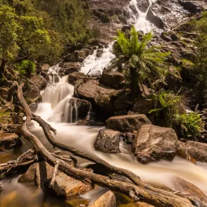 St Columba Falls, Tasmania, Australia