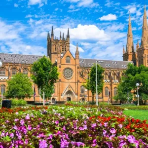 St Marys Cathedral Print with Blossom Flowers St Marys Cathedral Print with Blossom Flowers