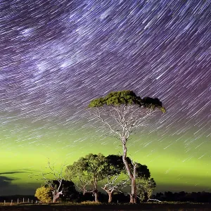 Star Trails over a bright green arc of aurora with an illuminated tree in the foreground Star Trails over a bright green arc of aurora with an illuminated tree in the foreground