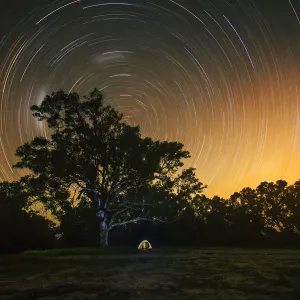 Star trails in the sky Star trails in the sky
