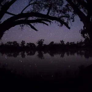 Stargazing Stargazing