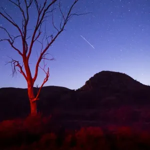 Stargazing Stargazing