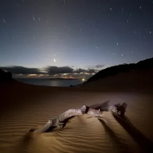 Starry Night Massive Sandblow Print