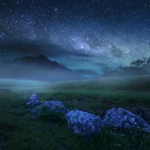 Starry night at Mt. John, located near Cradle Mountain-Lake St Clair, Tasmania, Australia Starry night at Mt. John, located near Cradle Mountain-Lake St Clair, Tasmania, Australia